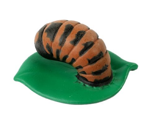 Insect Lore Ladybug Life Cycle - 4 PC Insect Figure Shows Life Of Lady Bug - Image 4