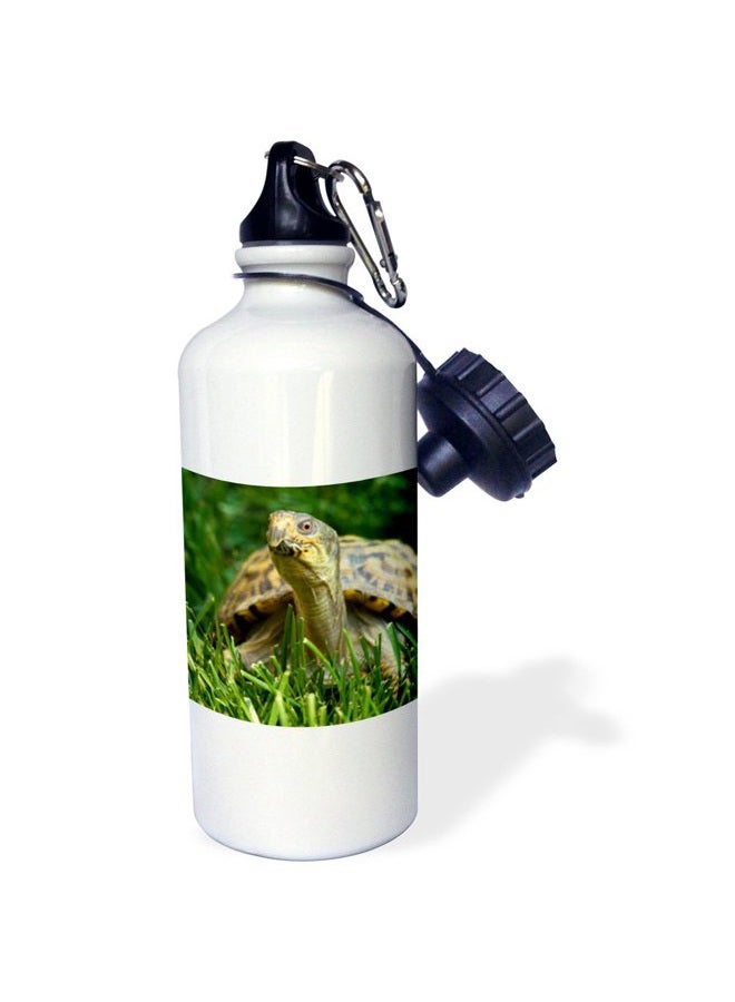 3DROSE wb_95067_1 USA, Virginia, Arlington, box turtle in grass US47 CHI0079 Corey Hilz Sports Water Bottle, 21 oz, White - Image 2