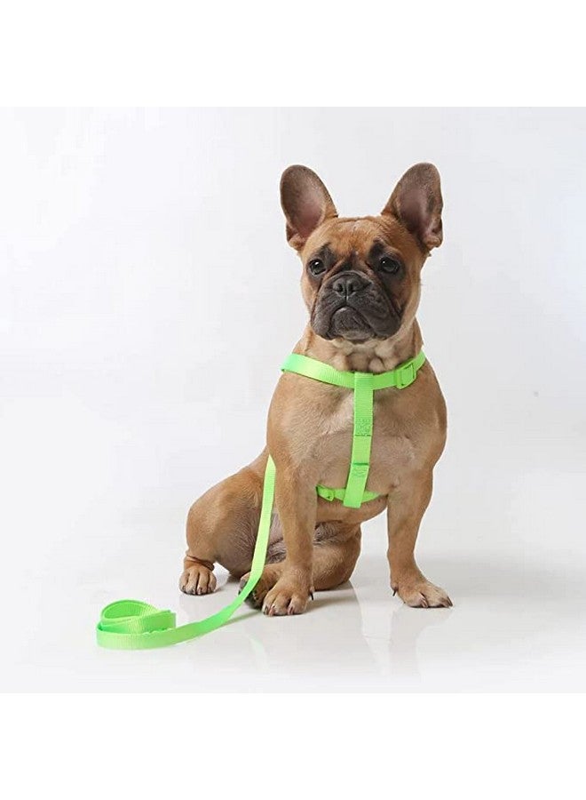 15 Mm Nylon Adjustable Leash With 0.5 Inch Harness Set For Small & Medium Dogs - Parrot Green - Image 1