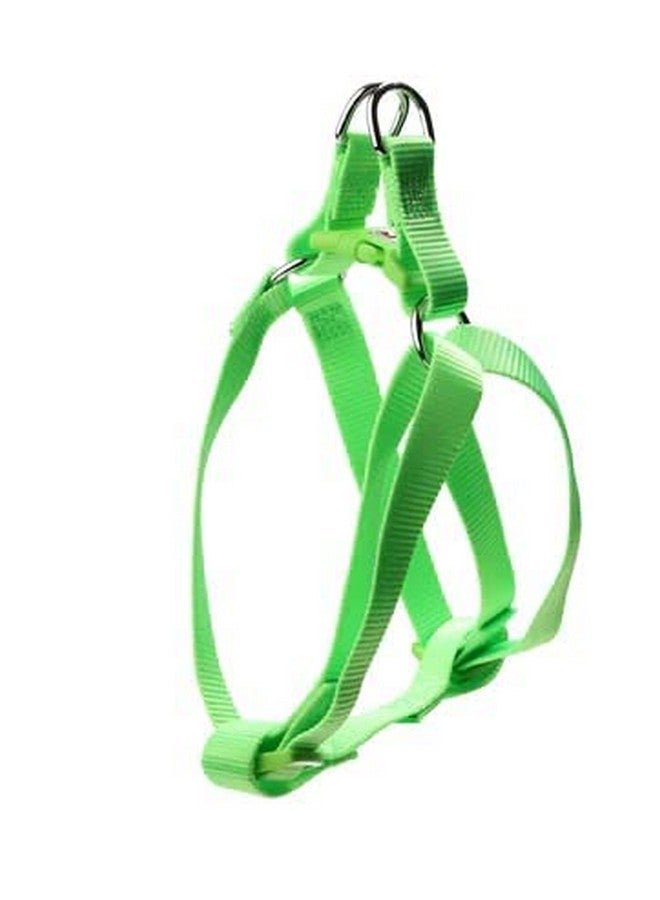 15 Mm Nylon Adjustable Leash With 0.5 Inch Harness Set For Small & Medium Dogs - Parrot Green - Image 3