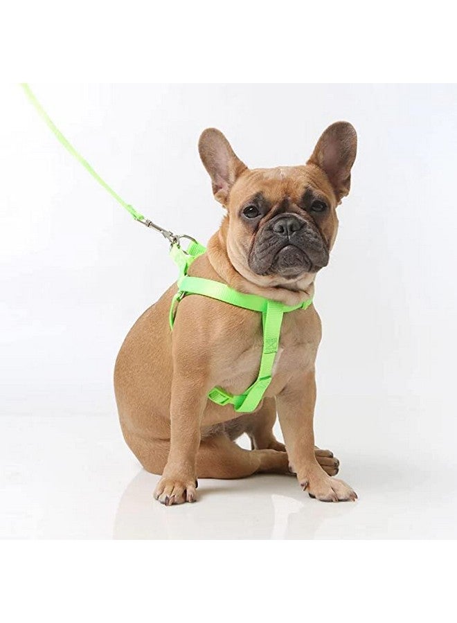 15 Mm Nylon Adjustable Leash With 0.5 Inch Harness Set For Small & Medium Dogs - Parrot Green - Image 2