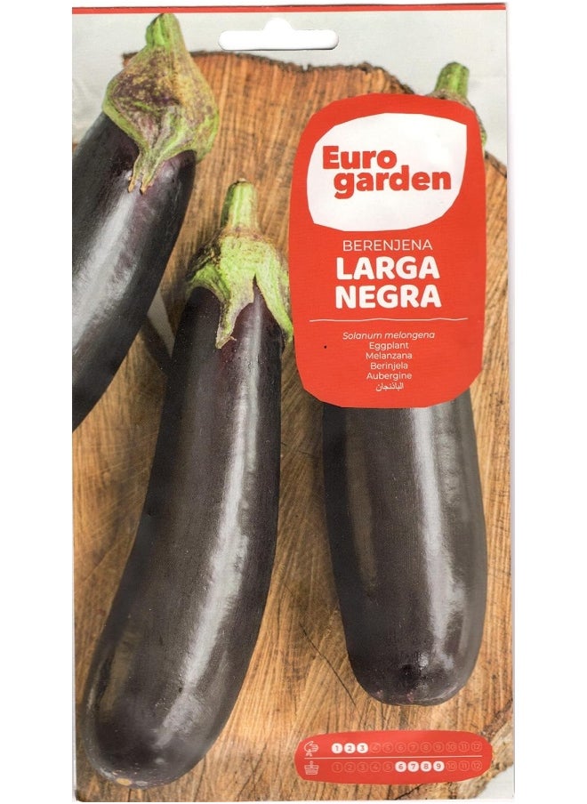 Euro Garden Euro Garden Eggplant Round  - Image 3