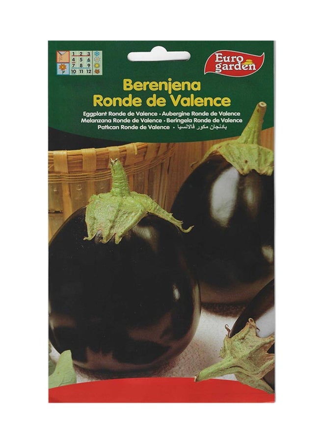 Euro Garden Euro Garden Eggplant Round  - Image 1