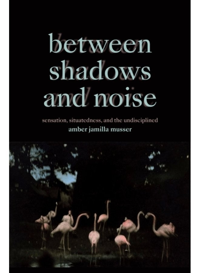 Between Shadows and Noise Sensation Situatedness and the Undisciplined - Paperback