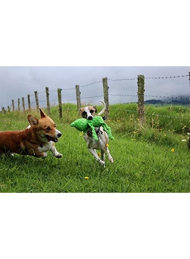Spunky pup 13” Frog Squeaker - Image 4