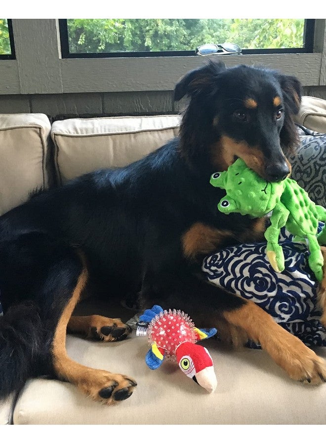 Spunky pup 13” Frog Squeaker - Image 3