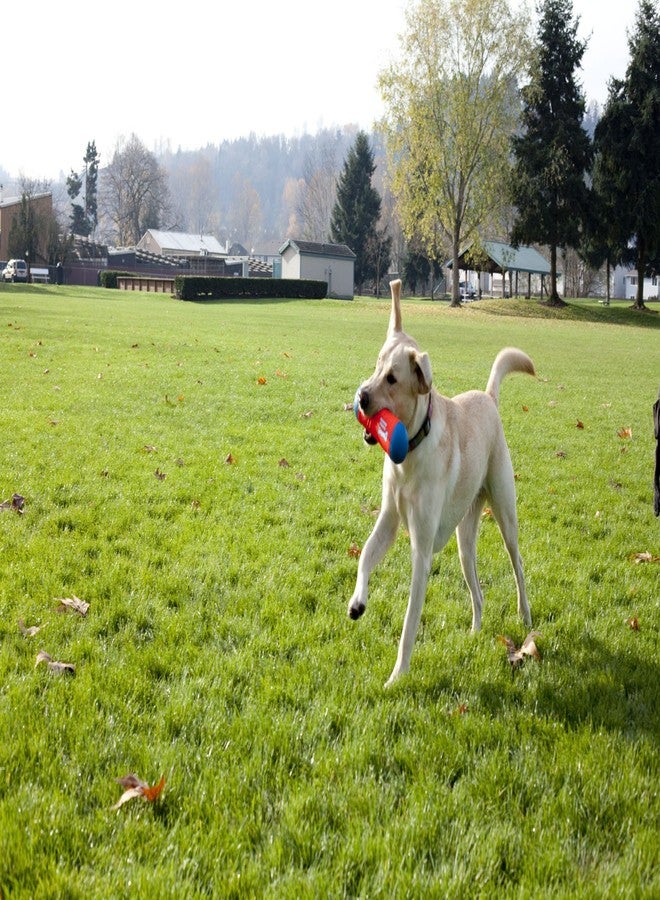 ChuckIt! Tumble Bumper Dog Toy, Medium - Image 3