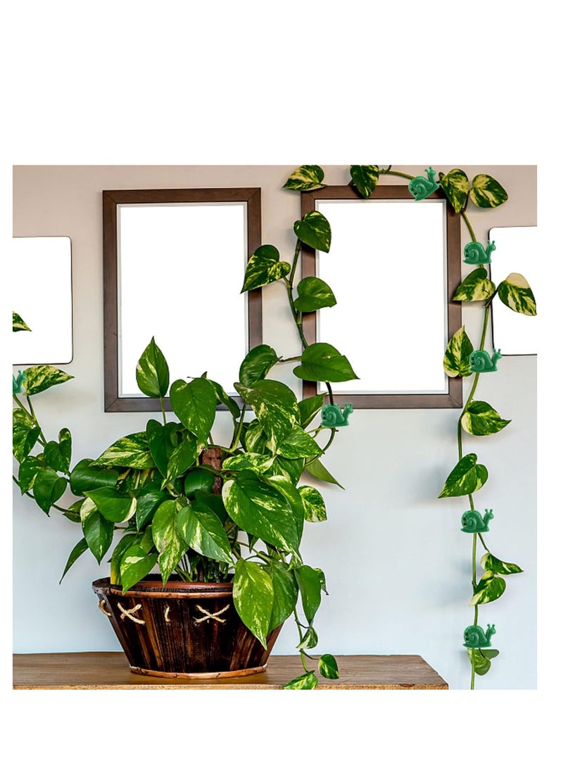 SYOSI 80 Pcs Plant Climbing Wall Fixture Clips Hanging Invisible Self Adhesive Leaf for Green Rose Fixing Device Hooks and Arranging Lines Snail Shape - Image 5