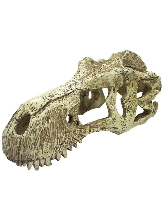 Komodo T-Rex Skull - XLarge - Image 1