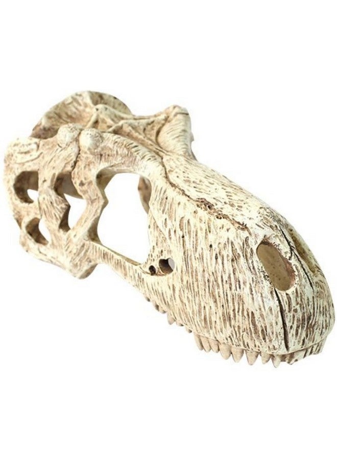 Komodo T-Rex Skull - XLarge - Image 2