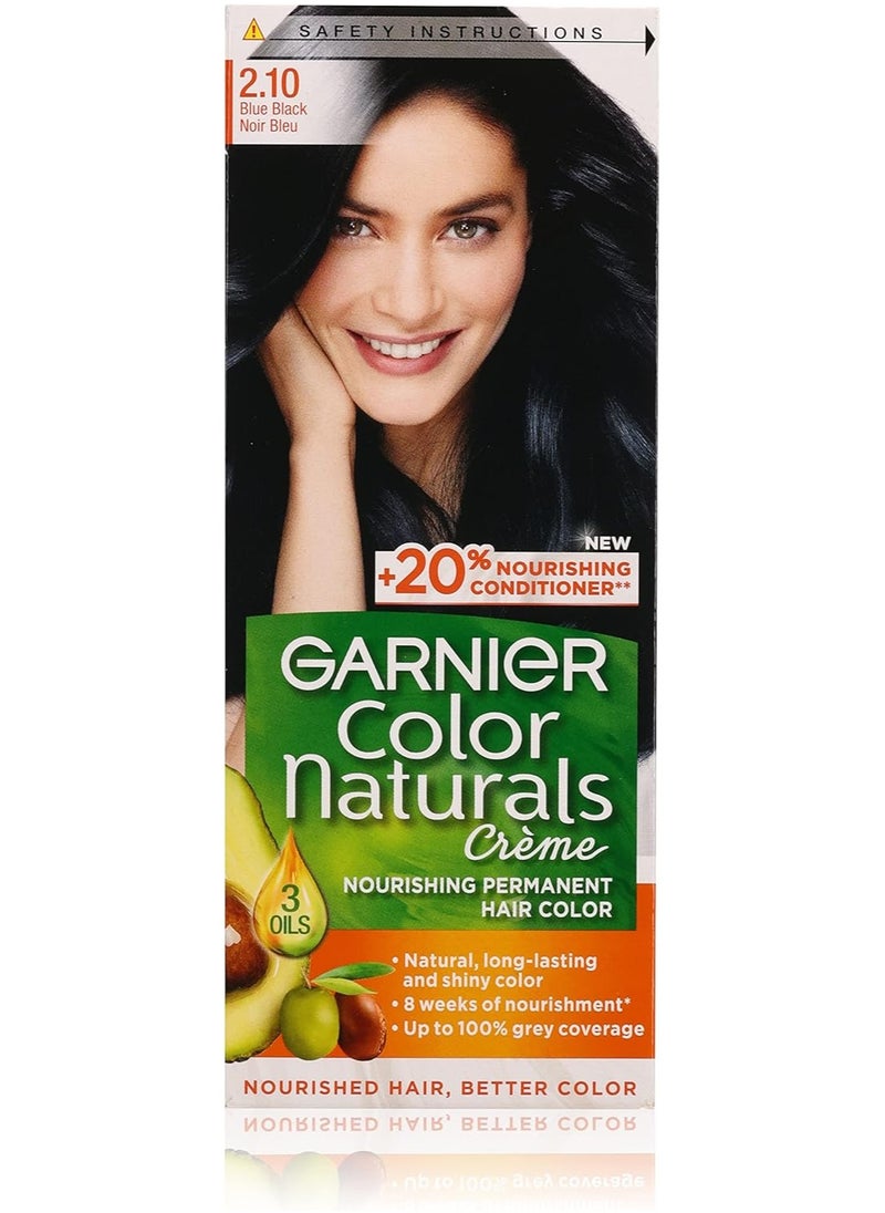 Garnier Garnier Color Naturals Permanent Creme Hair Color - 2.10 Blue Black 112 ML  - Image 1