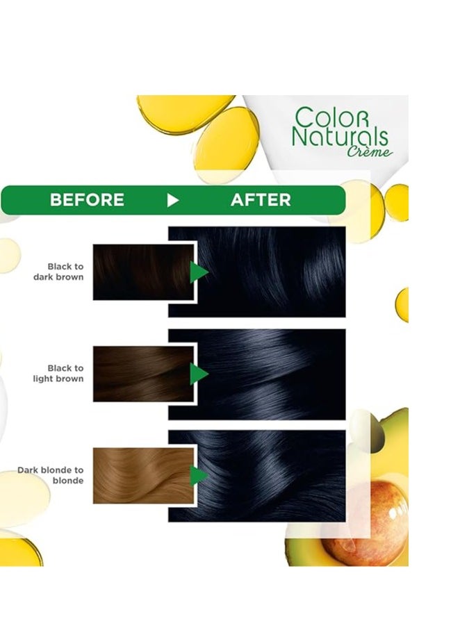 Garnier Garnier Color Naturals Permanent Creme Hair Color - 2.10 Blue Black 112 ML  - Image 3