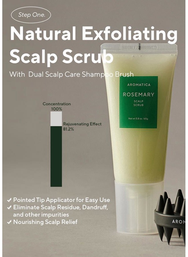 AROMATICA Rosemary Scalp Care Gift Set - Hydrating Scalp Treatment with Rosemary Scalp Scrub, Spray and Dual Scalp Brush - Free from Sulfate, Silicone, and Paraben - Image 4