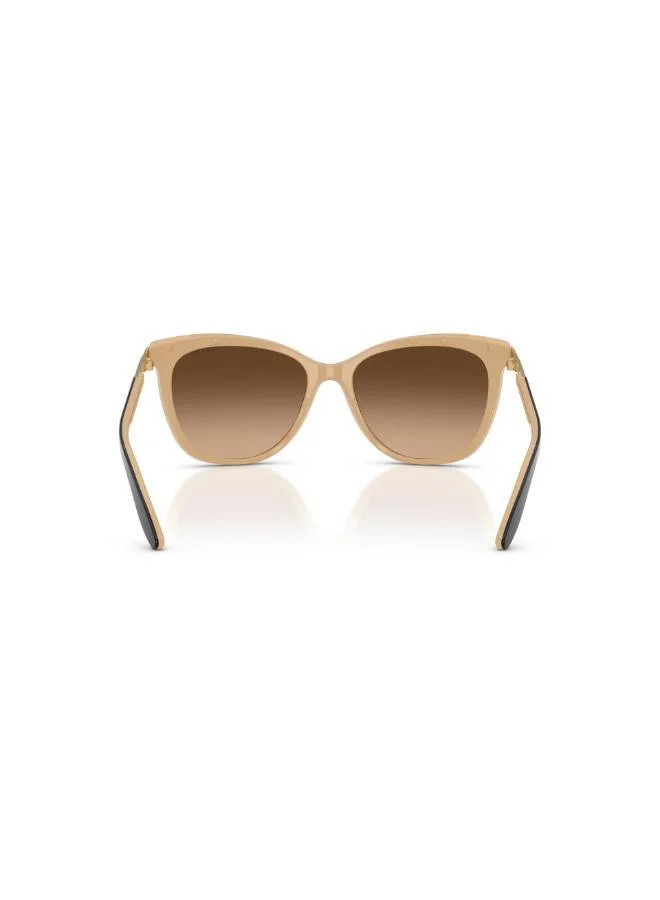 POLO RALPH LAUREN  0RA5203 Cat Eye Sunglasses for Women | Best Price UAE