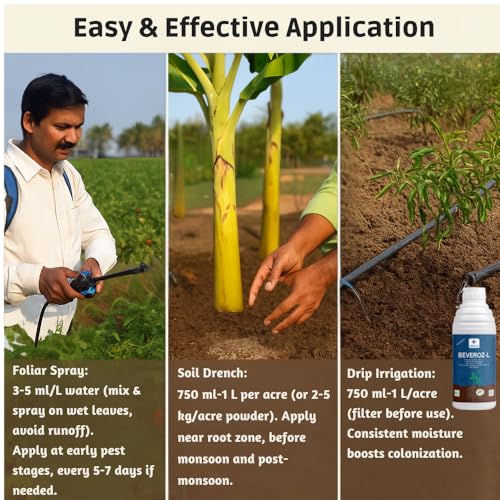 Utkarsh Beauveria Bassiana 1 x 10^8 CFU/ml min. | Western Flower Thrips, Liquid Fungicides for Plants, Home Garden | Beveroz-L (1 Liter; Pack of 1) - Image 4