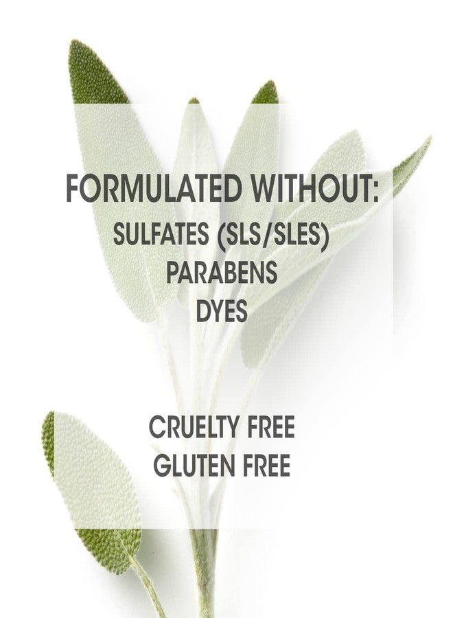 سيفين شامبو سيفن هيركير كيوبيكا 7 أيام للنساء والرجال، لجميع أنواع الشعر، يمنح الشعر لمعانًا وترطيبًا، خالٍ من الكبريتات والبارابين، لم يُختبر على الحيوانات، غني بالبيوتين ومستخلص الشاي الأخضر، صنع في الولايات المتحدة الأمريكية، 2 أونصة - Image 4