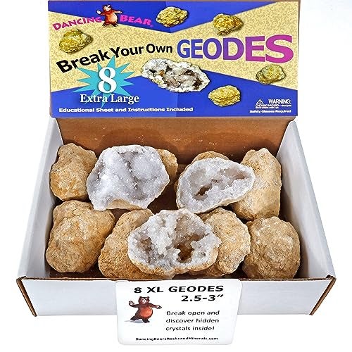 DANCING BEAR 8 XL Break Your Own Geodes 2535 90 Hollow Crack Open  Discover Amazing Surprise Crystals Inside Educational Info and Instructions Included Fun Party Favors  Prizes - Image 1