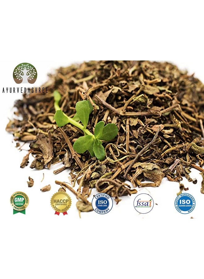 AYURVEDASHREE Centella asiatica Powder 200 Gm I Known as Gotu Kola, brahmi I Mandupakarni Powder I Non GMO I Gluten Free I Vegan - Image 2