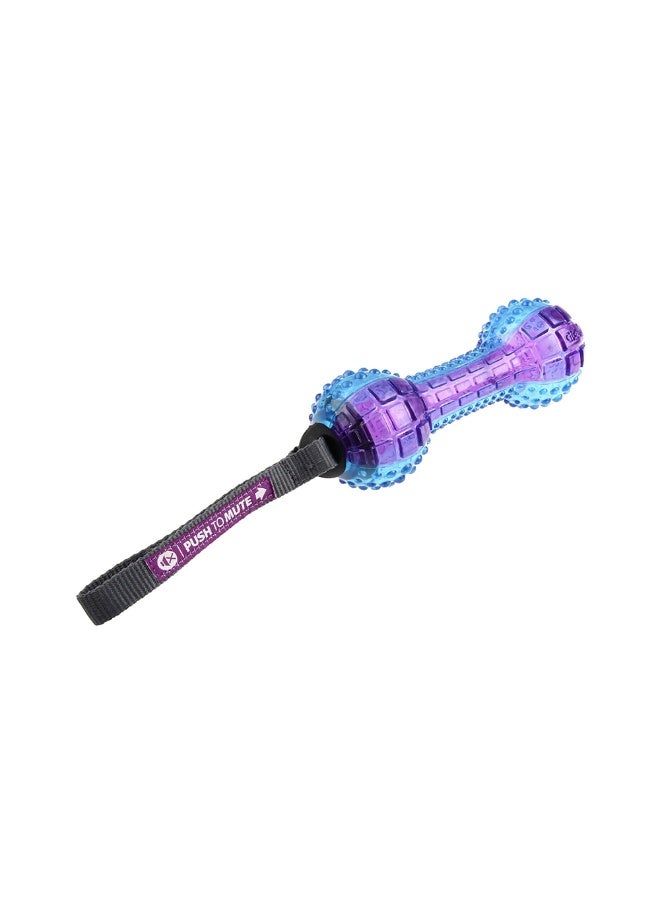 GiGwi Dumbbell Transparent ‘Push To Mute’ Dog Toy - Purple/Blue