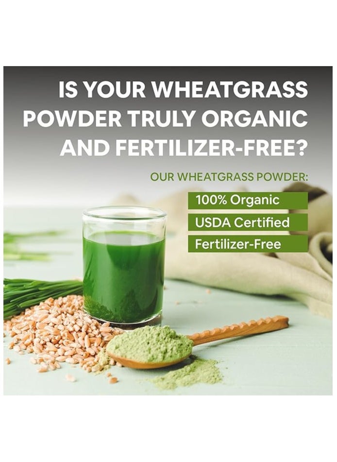 CARBAMIDE FORTE - Carbamide Forte 100% Natural Organic Wheatgrass Powder Wheat Grass Juice Organic | Wheatgrass Juice Powder - 100g Wheatgrass Powder Organic - Image 1