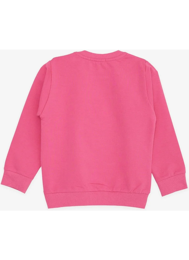 Breeze Baby Girl Sweatshirt Silvery Floral Printed 9 Months-3 Years, Pink