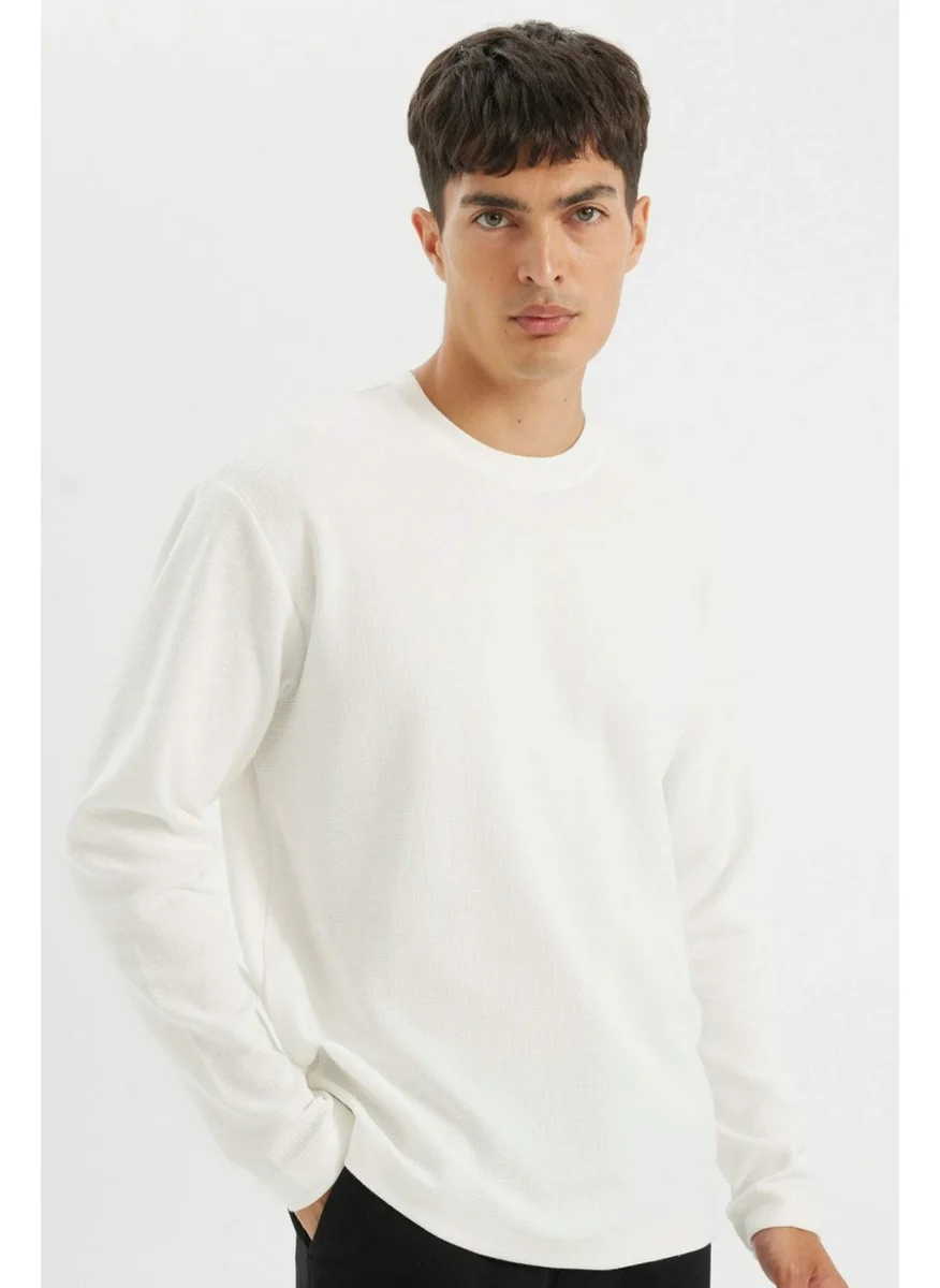 DeFacto Regular Fit Crew Neck Waffle Basic Plain Long Sleeve T-Shirt D2801AX24AU
