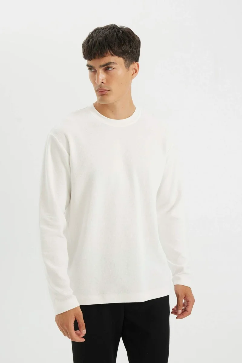 DeFacto Regular Fit Crew Neck Waffle Basic Plain Long Sleeve T-Shirt D2801AX24AU