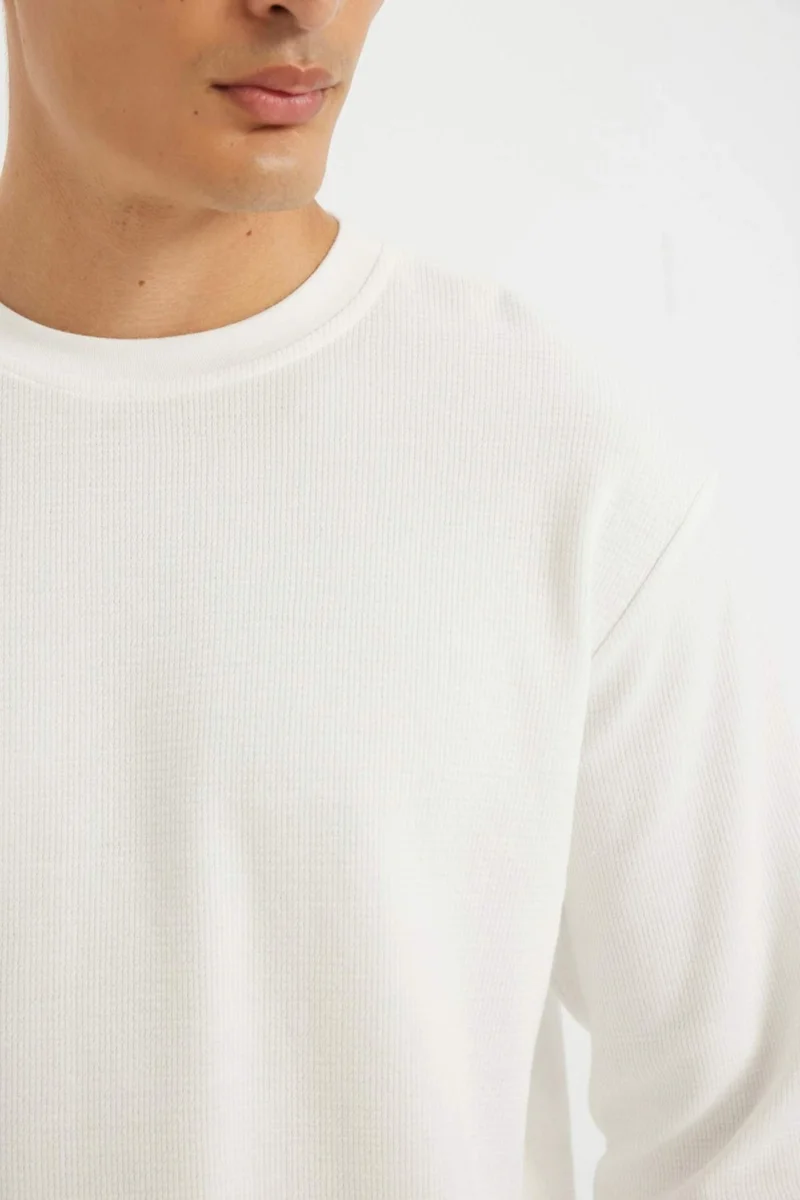 DeFacto Regular Fit Crew Neck Waffle Basic Plain Long Sleeve T-Shirt D2801AX24AU