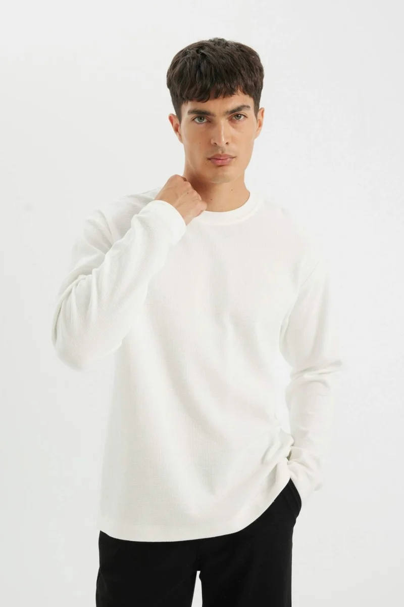 DeFacto Regular Fit Crew Neck Waffle Basic Plain Long Sleeve T-Shirt D2801AX24AU