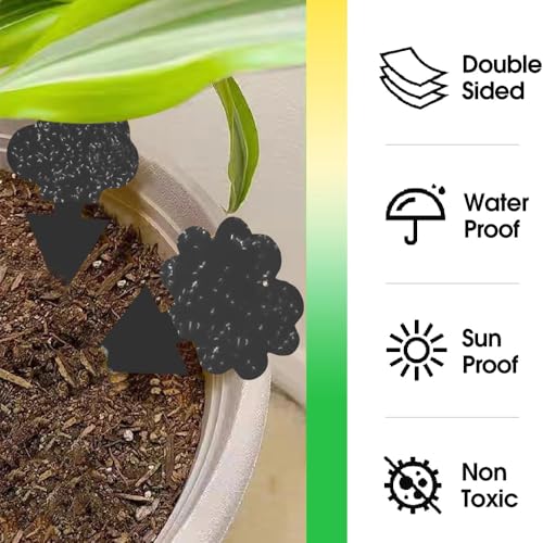 Cleanuper 58 Pack Flying Insect Traps for Plants – Black Sticky Traps for Fungus Gnats, Flies & Flying Bugs, Indoor Outdoor Flying Bug Catcher for Pots, Garden & Kitchen, Non-Toxic, Odorless, Kid & Pet Safe - Image 4