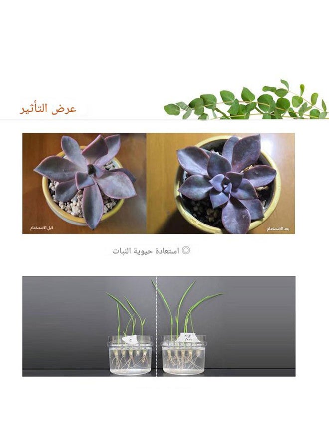 ميركل-جرو سائل هرمون التجذير لنباتات الزينة سعة 10 مل - Image 2