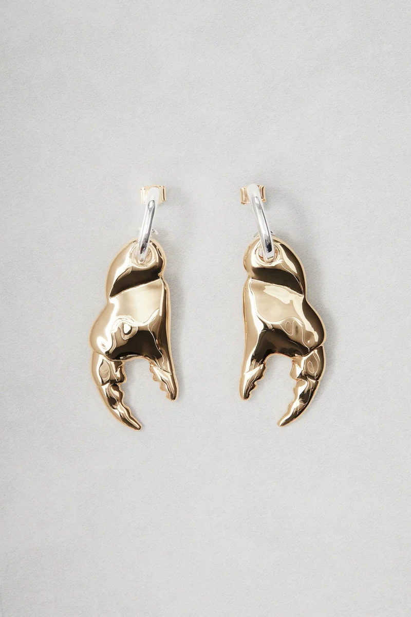H&M Claw-pendant earrings
