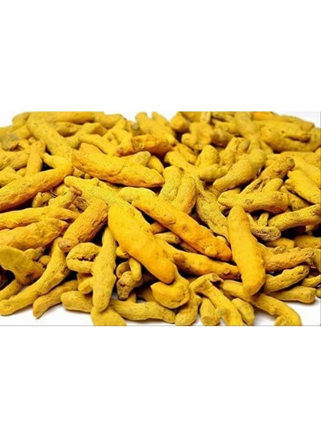 Whole Turmeric Sticks - 100 Grams | Haldi Gatiya | Sabut Haldi | Whole Haldi | Salem Haldi - Image 3