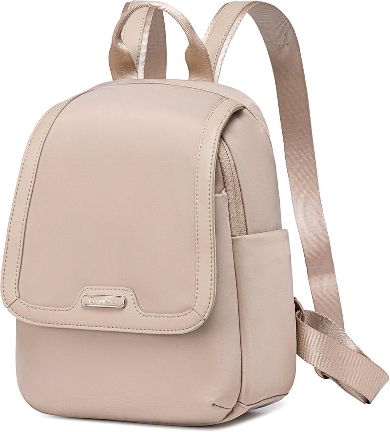 Chantria Premium Casual Backpack Water Resistant Multifunctional Anti-Theft Women Daypack with independent Laptop Compartment, CB00621 - Image 1