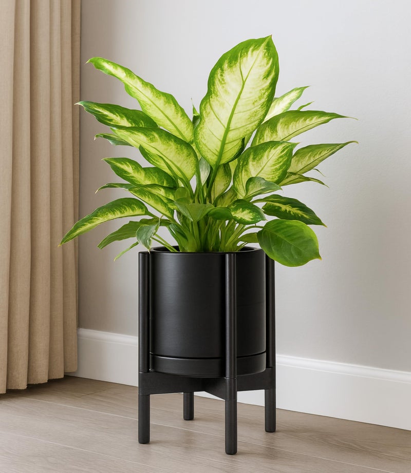 D'vine Dev Ceramic Planter with Ebony Stand - 10 Inch Modern Round Flower Pot with Wood Planter Holder, Black, 55-B-L-2 - Image 2