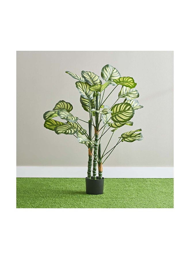 Home Box Teodora Artificial Calathea Tree 105 cm  - Image 1