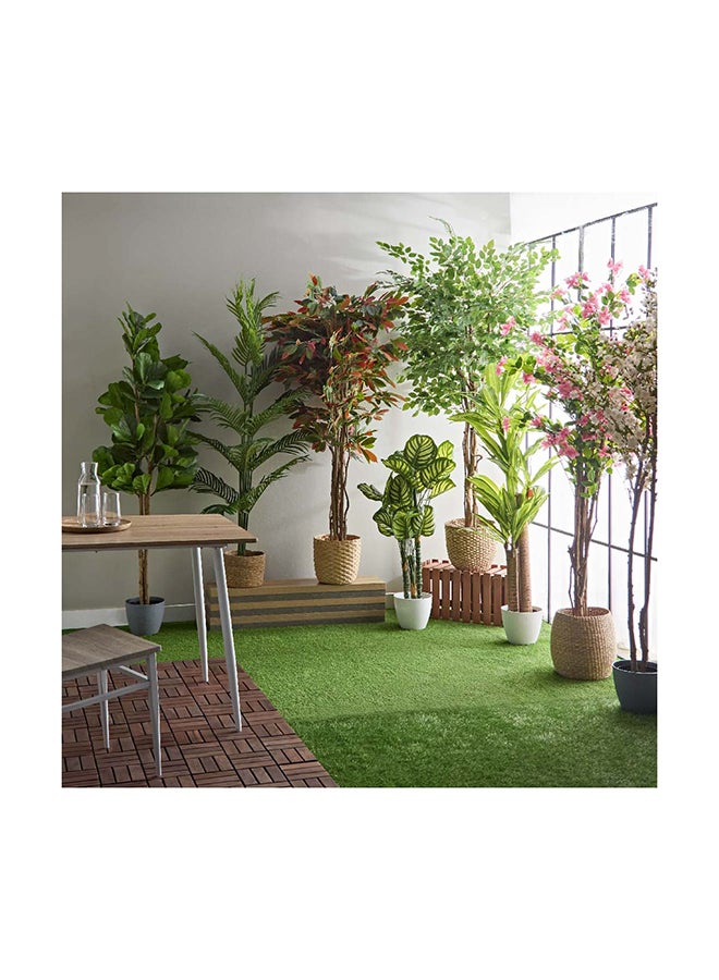 Home Box Teodora Artificial Calathea Tree 105 cm  - Image 4