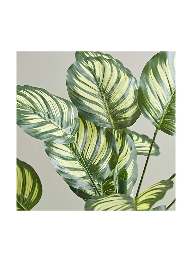 Home Box Teodora Artificial Calathea Tree 105 cm  - Image 2