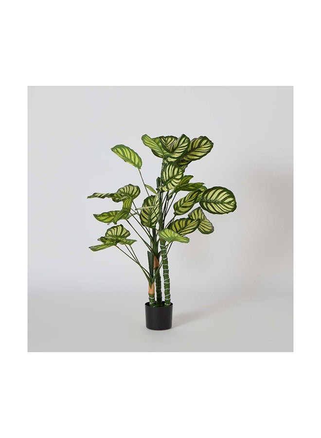 Home Box Teodora Artificial Calathea Tree 105 cm  - Image 5
