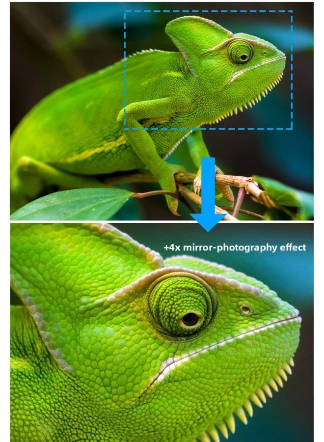 + 4x Close-up Lens 55 58 62 67 72mm For Sony Konka Close-up Lens Macro SLR Camera-Color:(+ 4x) 43mm - Image 2