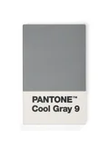 Pantone Cool Gray