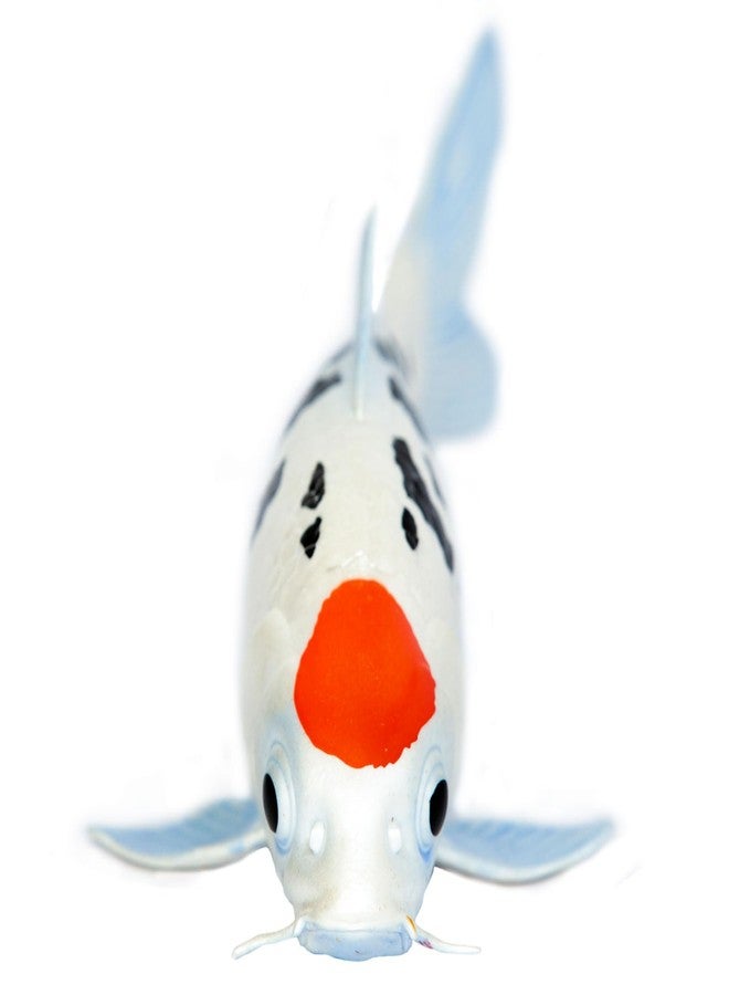 Safari Ltd. Tancho Koi Fish Figurine - Lifelike 6" Fish Figure - Educational Toy for Boys, Girls, and Kids Ages 3+ - Image 3