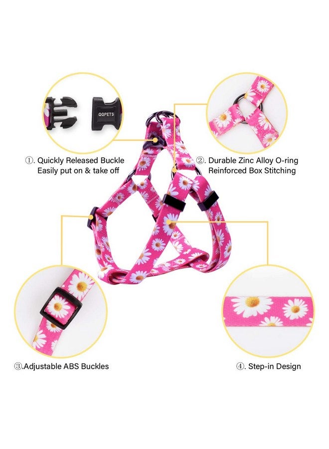 كيوكيو بيتس مجموعة أحزمة الكلاب QQPETS قابلة للتعديل ومتينة بدون سحب للكلاب من السلالات الصغيرة والمتوسطة والكبيرة مع مشبك خلفي مضاد للالتواء مثالي للمشي (XS (محيط الصدر من 12 إلى 18 بوصة)، ديزي) - Image 2