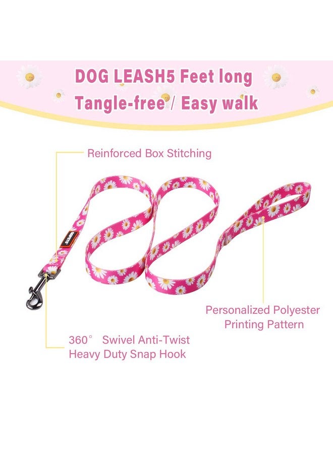 كيوكيو بيتس مجموعة أحزمة الكلاب QQPETS قابلة للتعديل ومتينة بدون سحب للكلاب من السلالات الصغيرة والمتوسطة والكبيرة مع مشبك خلفي مضاد للالتواء مثالي للمشي (XS (محيط الصدر من 12 إلى 18 بوصة)، ديزي) - Image 3