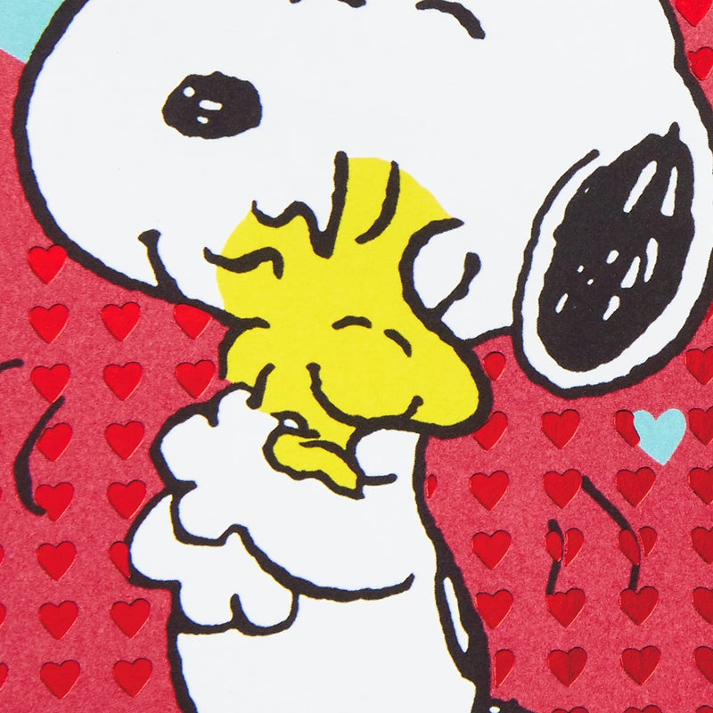 Hallmark Peanuts Valentines Day Cards Pack, Snoopy and Woodstock (10 Valentine's Day Cards with Envelopes) - Image 4