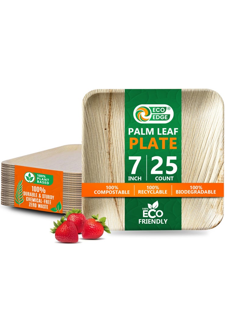 EcoEdge 7 Inch Square Areca Palm Leaf Disposable Plates (Pack of 25) | Biodegradable, Eco-Friendly, Compostable and Organic | Heavy Duty, Disposable Plates for Snacks and Desserts | 100% Plant Based - Image 1