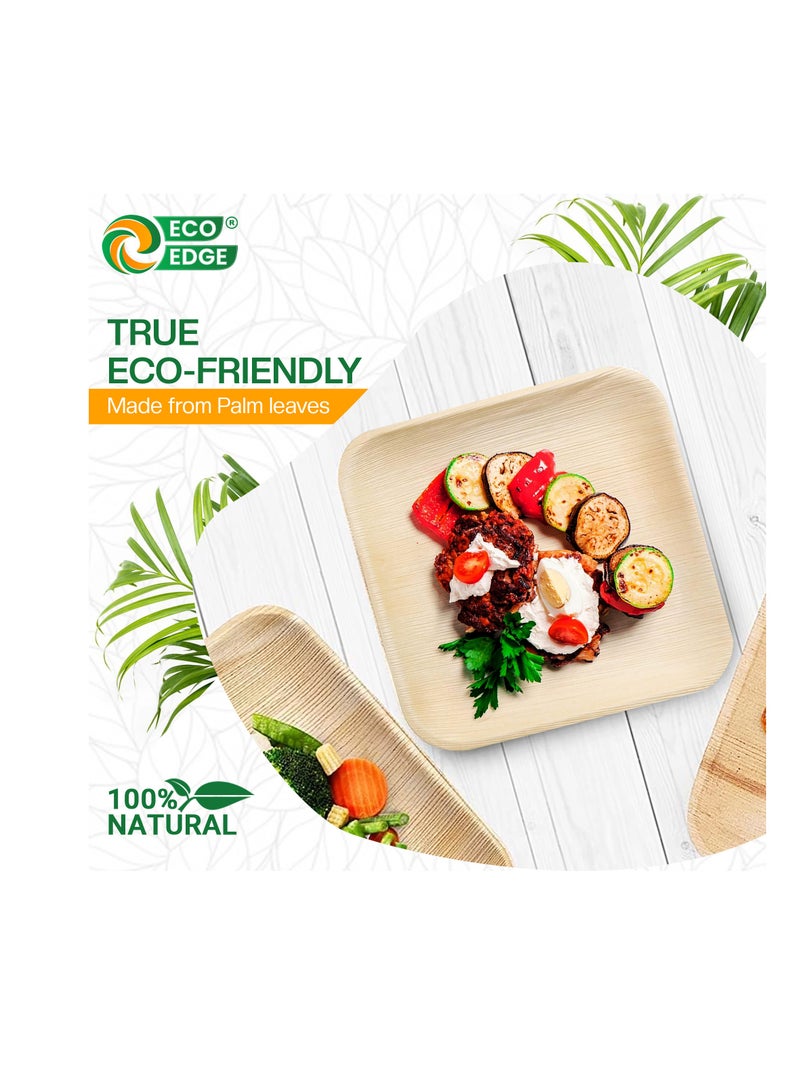 EcoEdge 7 Inch Square Areca Palm Leaf Disposable Plates (Pack of 25) | Biodegradable, Eco-Friendly, Compostable and Organic | Heavy Duty, Disposable Plates for Snacks and Desserts | 100% Plant Based - Image 3