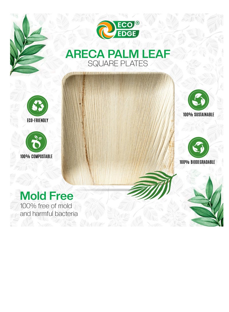 EcoEdge 7 Inch Square Areca Palm Leaf Disposable Plates (Pack of 25) | Biodegradable, Eco-Friendly, Compostable and Organic | Heavy Duty, Disposable Plates for Snacks and Desserts | 100% Plant Based - Image 2