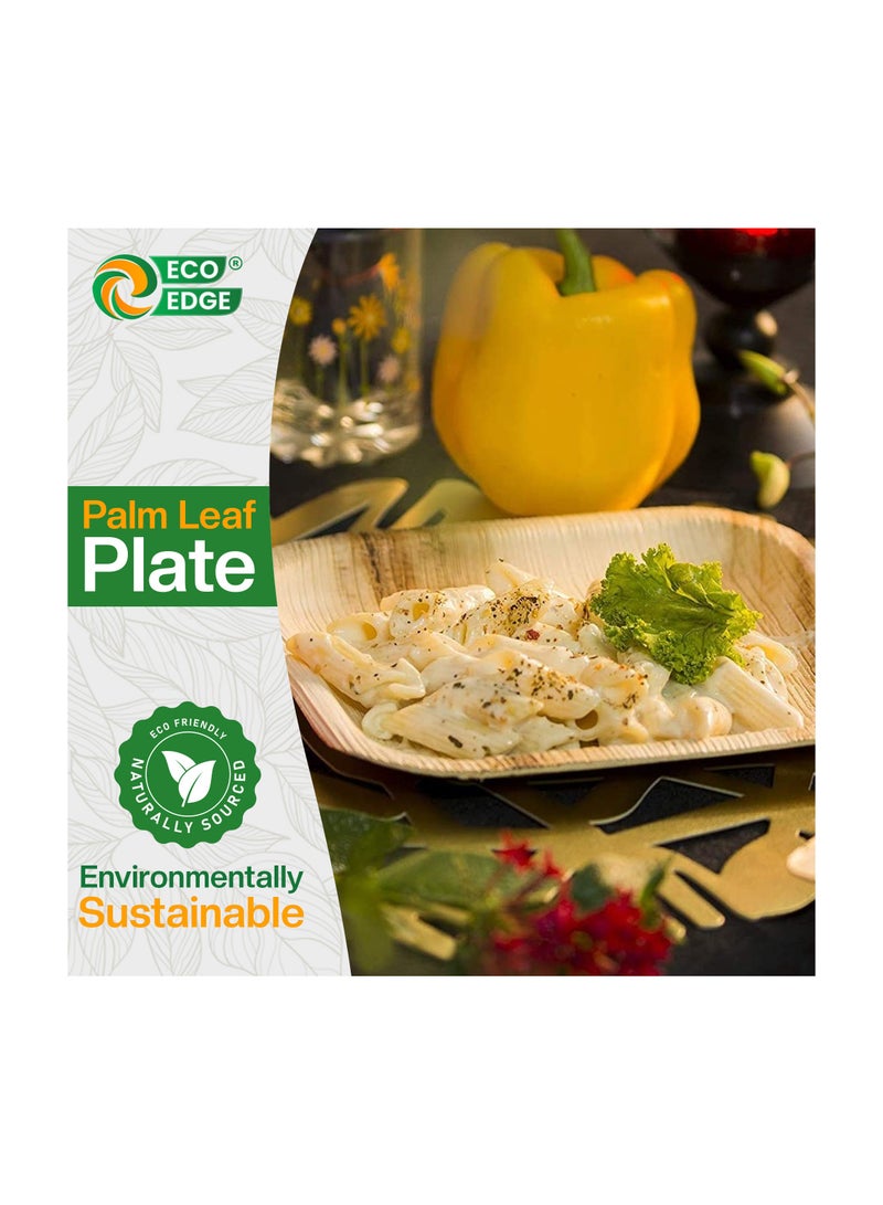 EcoEdge 7 Inch Square Areca Palm Leaf Disposable Plates (Pack of 25) | Biodegradable, Eco-Friendly, Compostable and Organic | Heavy Duty, Disposable Plates for Snacks and Desserts | 100% Plant Based - Image 4