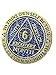RecoveryChip 6 Month AA Medallion Antique Bronze Dusty Blue Color Sobriety Chip - Image 1
